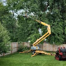  Cherryville, PA Tree Services Pros